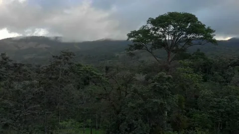 Drone descending in jungle forest with mountain view in Costa Rica Stock Footage 171673219