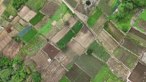 Drone Descending Over Patchwork Mountain Farms in Zunil Stock Footage 344160413