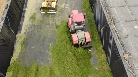 Drone descending over tractor compacting silage bunker Stock Footage 333182703