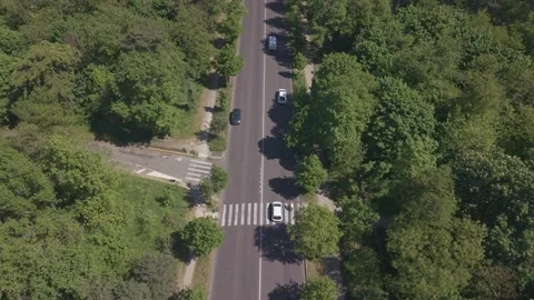 Drone Descending Over Tree-Lined Road Bois de Boulogne 動画素材 338046168