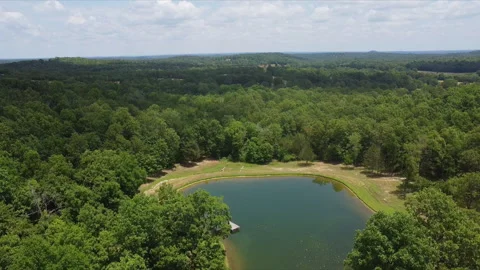 Drone descending while focused on a small pond in the middle of a huge forest Stockbeeldmateriaal 200981821