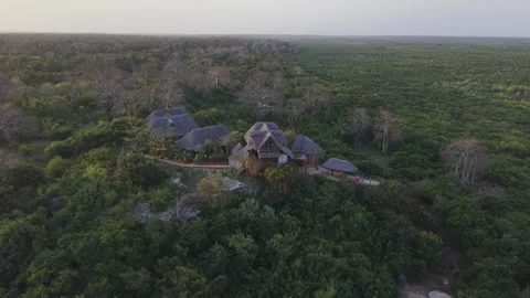 Drone descends on mountain resort surrounded by baobab trees in a forest Stock Footage 344138430