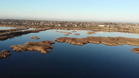 Drone descends over the estuary of a river. On the bank there are dry reeds. Stock Footage 147573685