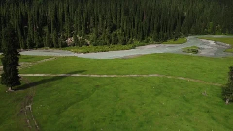 Drone Descent Over River Valley And Spruce Forest. Kyrgyzstan, Karakol Stock Footage 332779056