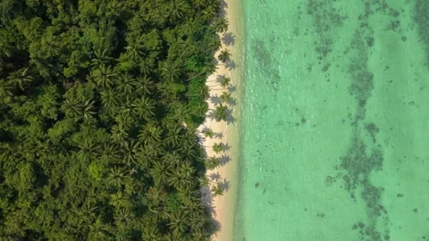 Drone descent spin over tropical coastline Stock Footage 310622937