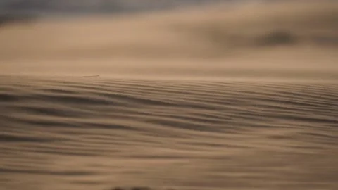 Drone, Desert, Sand, Dunes Stock Footage 329126747