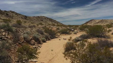 DRONE ON DESERT TRAIL Stock Footage 258284046