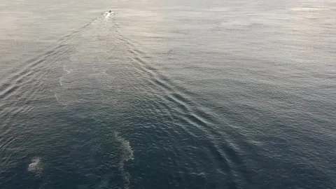 Drone, dingy and dive boat in calm ocean Stock Footage 130313647