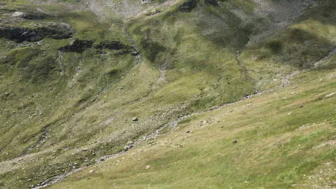 Drone dive quickly into mountain valley meadows on Italian Alps Stockbeeldmateriaal 255201259