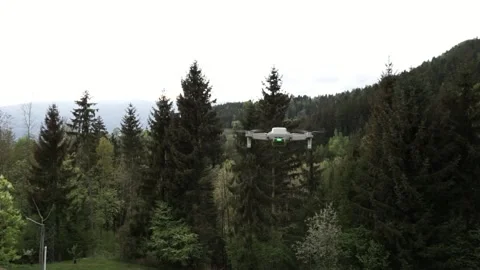 Drone - DJI Mini spins and flies over a forest - with sound Video stock 168131010