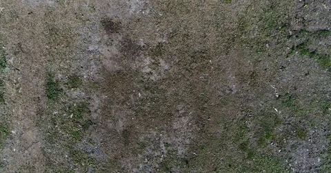 Drone DJI Phantom 4 pro landing revealing shadow and grass Stock Footage 76311691
