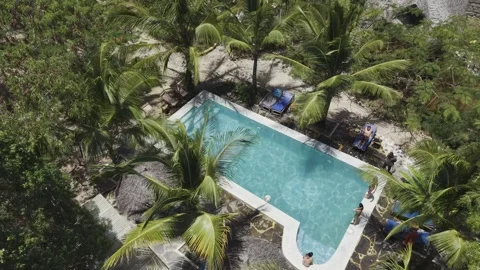 Drone does 360 around clear blue swimming pool between palm trees Stock-Footage 346158976