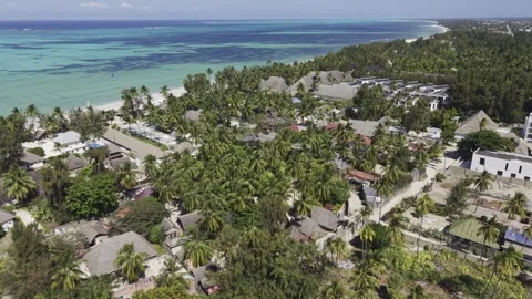 Drone does 360 around cluster of palm trees next to cell tower 스톡 동영상 343400835