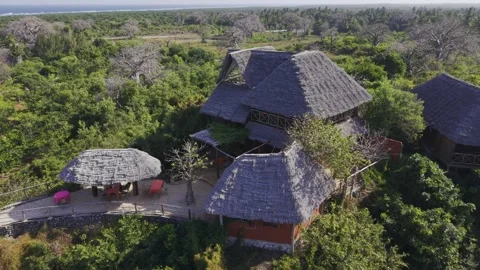 Drone does 360 around hilltop lodge and restaurant in baobab forest Stock Footage 344112347