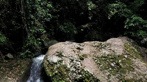 Drone dolly out of small waterfall, pond and stream in dense tropical forest, 4k Stock Footage 122618725