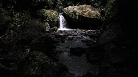 Drone dolly shot of small waterfall and pond in dense tropical forest, 4k Video stock 122553436
