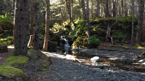 Drone Dolly Towards Waterfall in Forest Stock Footage 96052042