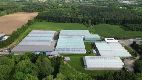 Drone - Down to Up Slow Pull Away of Greenhouses, Christie Lake &amp; Towns Stock Footage 314227797