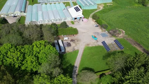 Drone - Down to Up View Flying Over Greenhouses Stock Footage 314227870
