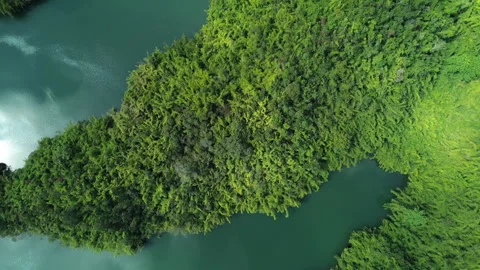 Drone Drop Down over Lush Green Islands, Ta Dung Lake, Central Highlands Vietnam Stock Footage 329915513