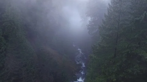 Drone Dropping Down Over a Misty River Video stock 84081505