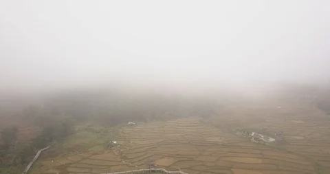 Drone dropping down through the clouds onto a rice paddy fields in Pai Mae Stock Footage 117140098