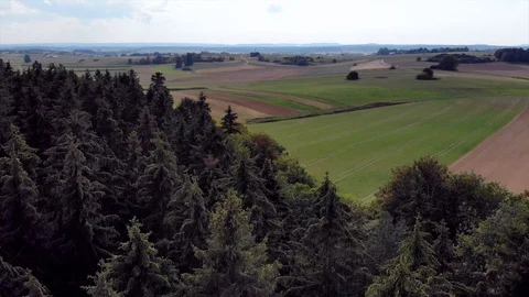 Drone dropping down through treetops to forest floor Stock Footage 122177281