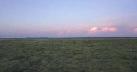 Drone elephant dusk herd clouds sunset Tsavo kenya herd aerial 3 動画素材 232826575