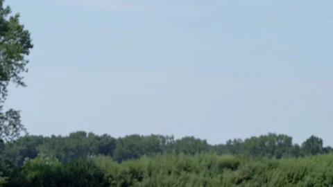 Drone enters from top of frame.  Trees and sky in background. Stock Footage 80151730