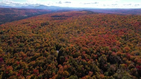 Drone Epic Fly Over Colorful Autumn Trees Fall Foliage Aerial Stock Footage 255752084