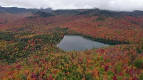Drone Epic New England Color Changing Leaves Lake Stock Footage 255751663