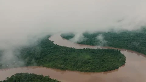 Drone exiting cloud reveals meandering river in evergreen rainforest Stock Footage 196927649