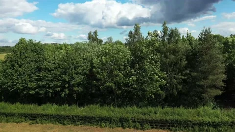 Drone exposing the landscape. Stock Footage 134424914