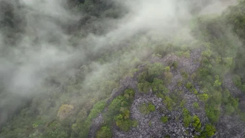 Drone Eye Level View of Flowing Morning Mist Around  Mountain Peak at Sunrise Vidéo 335609295