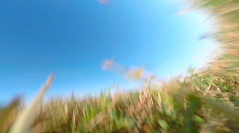 Drone fail on the field Stock Footage 54687136