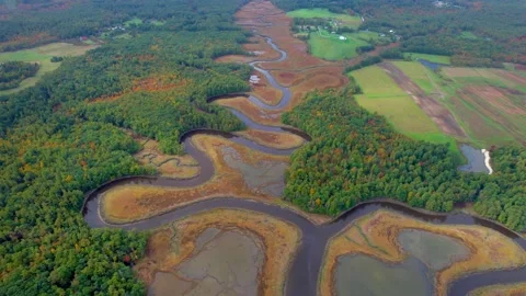 Drone-fall-autumn beautiful amazon river Stock Footage 219377970