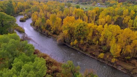 Drone:  Fall Colors Along River Stock Footage 162706290