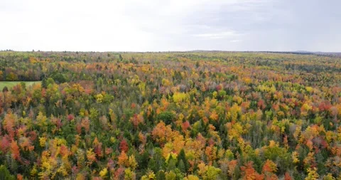 Drone of Fall Colors in Maine Vidéo 348241089