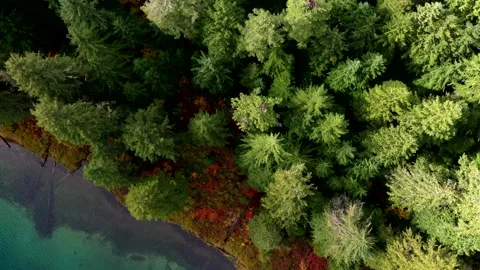 Drone Fall Lake 11 Stock Footage 249850827