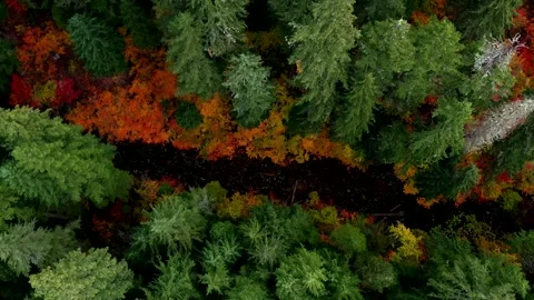 Drone Fall Lake 13 Video stock 249850937