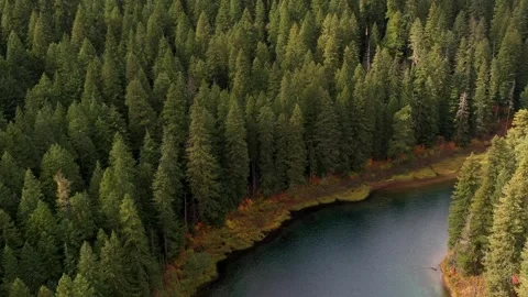 Drone Fall Lake 2 Vídeos de archivo 249849608