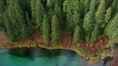 Drone Fall Lake 4 Stock Footage 249850128