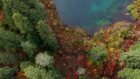 Drone Fall Lake 5 Video stock 249850444
