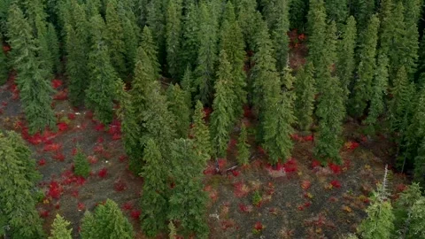 Drone Fall Lake 7 Vídeos de archivo 249850507