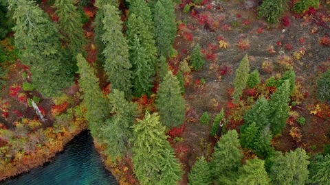 Drone Fall Lake 8 Stock Footage 249850629