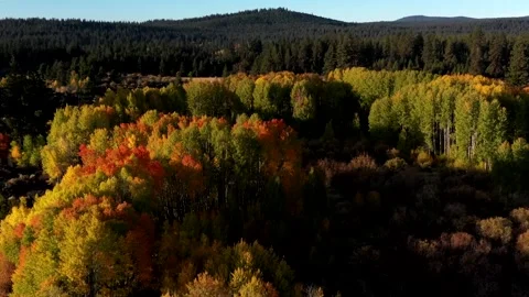 Drone Fall Morning Video stock 249847404
