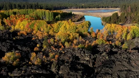 Drone Fall Morning Stock Footage 249847576