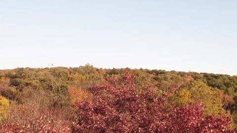 Drone Fall Rural Scenery Stock Footage 146292014