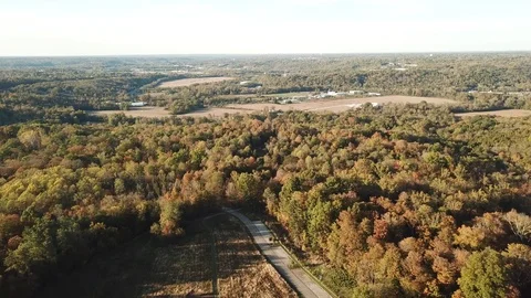 Drone of Fall Trees and Road Stock Footage 120475974