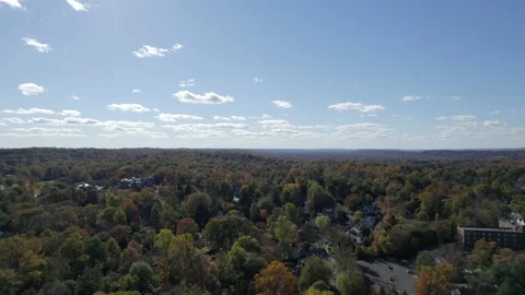 Drone fall trees towards horizon 스톡 동영상 170348533